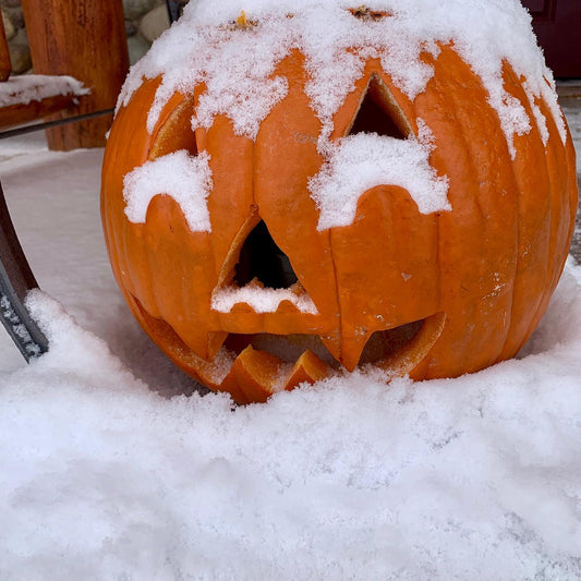 Carving Pumpkins Montana Style